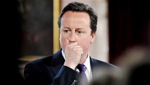 David Cameron veto