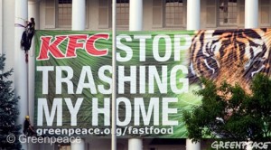 Greenpeace KFC rain forests