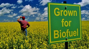 Biofuel