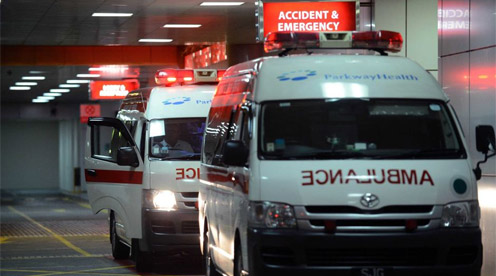 Indian gang rape victim died