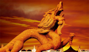 China investigates Oracle IMB EMC