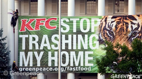 Greenpeace KFC rain forests